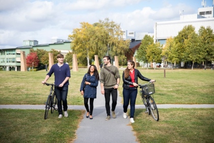Fyra studenter kommer gående på gångväg mellan gräsmattor. Foto: Niklas Björling